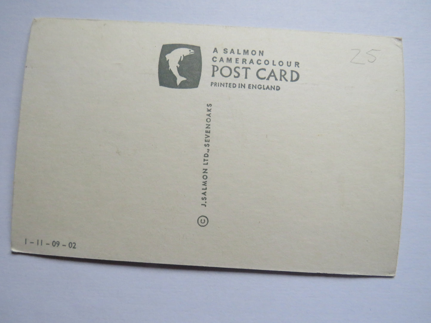 Vintage Postcard of Portmeiron, Penrhyndeudraeth