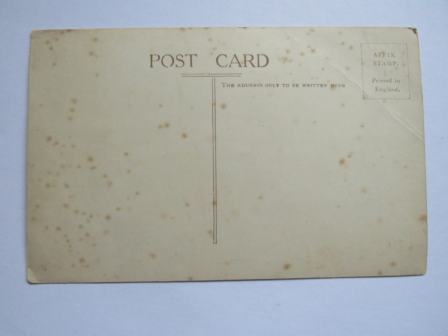 Antique Postcard Of Abbey Park Gardens, Torquay