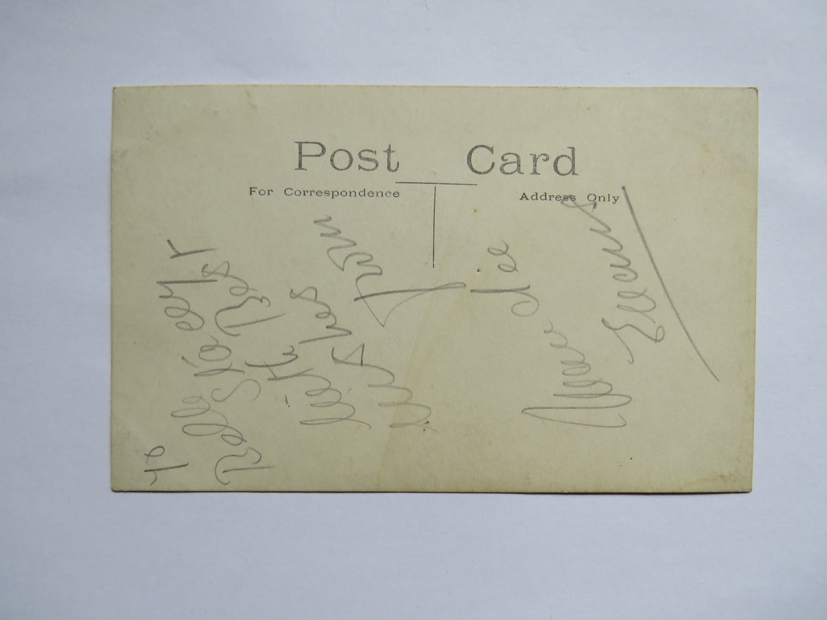 Vintage Postcard of a Ballet Dancer
