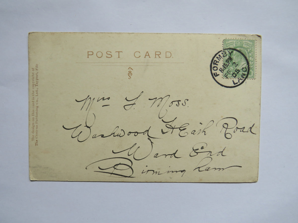 Vintage Postcard of The Bachelor's Button, Cynicus Comic Postcard, 1905