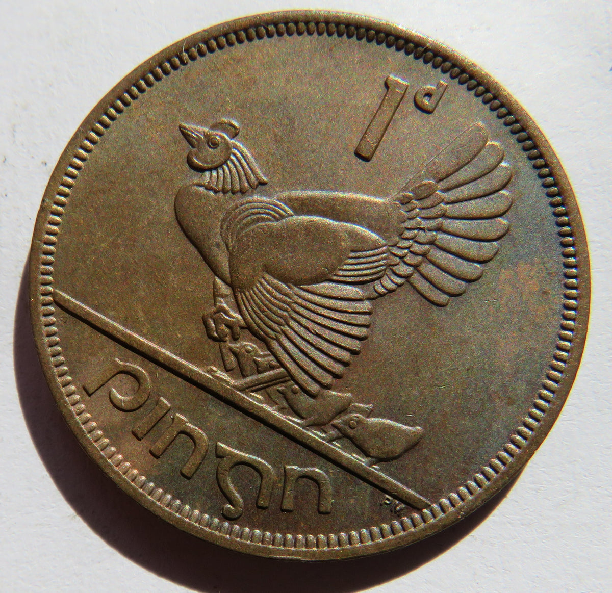 1952 Ireland Eire One Penny Coin In High Grade