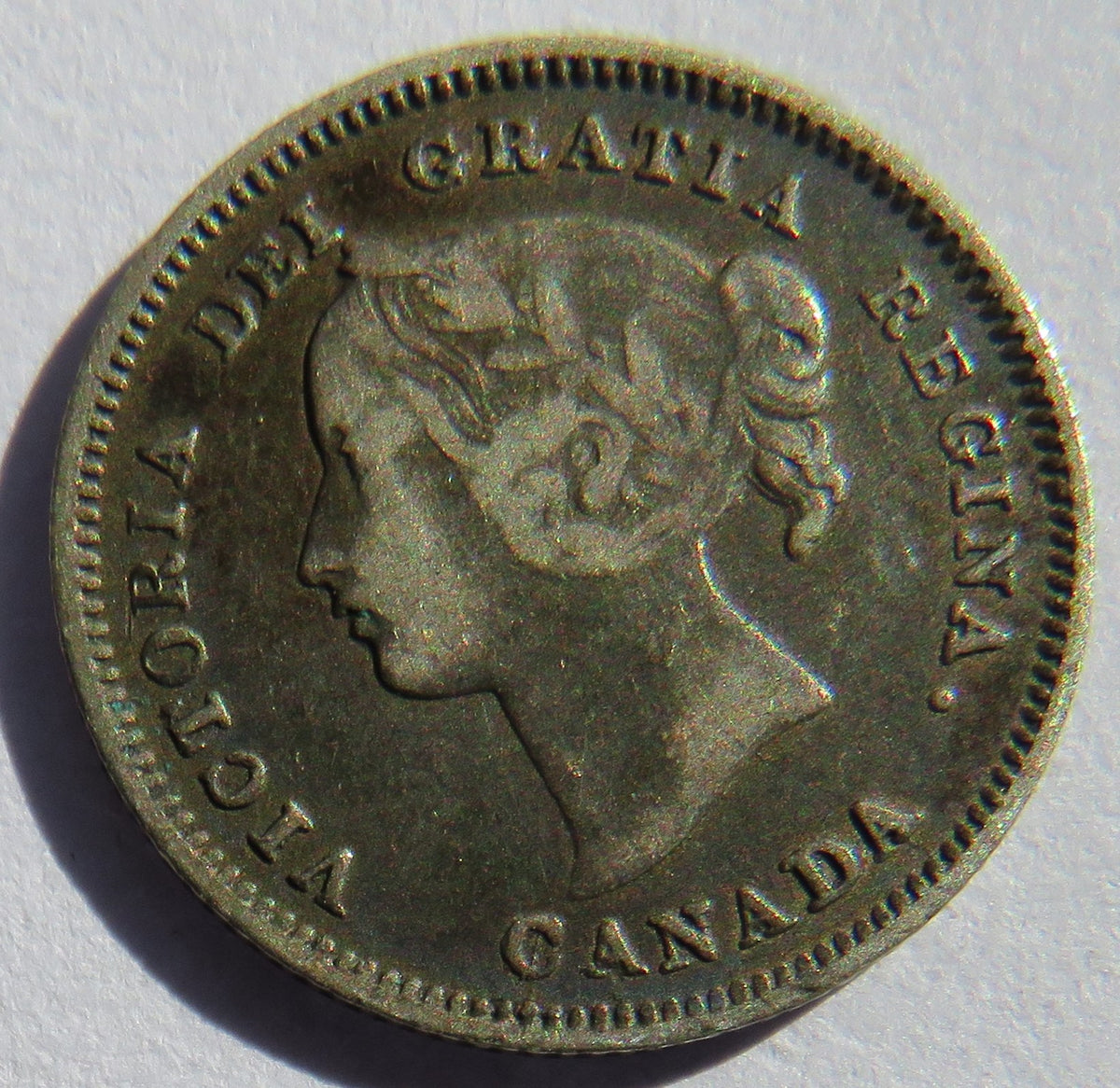 1901 Queen Victoria Canada Silver 5 Cents Coin