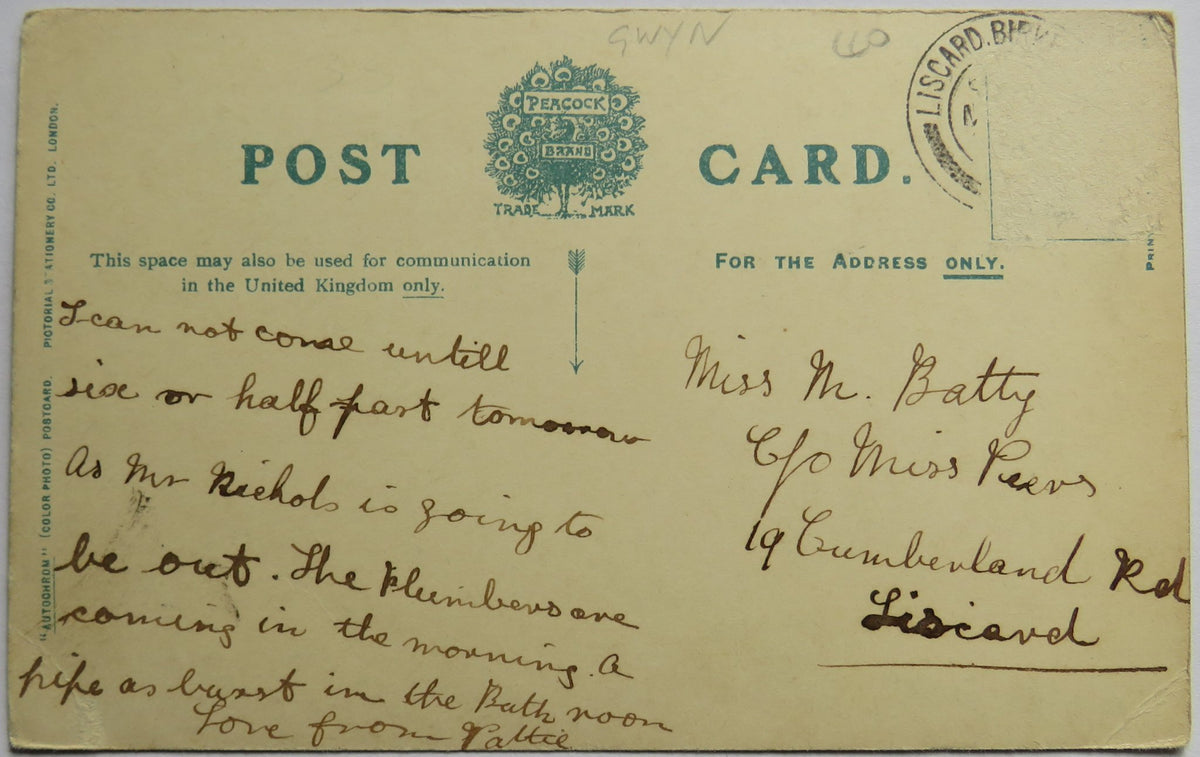 Vintage Postcard of Bettws-y-Coed, Moel Siabod and Stepping Stones
