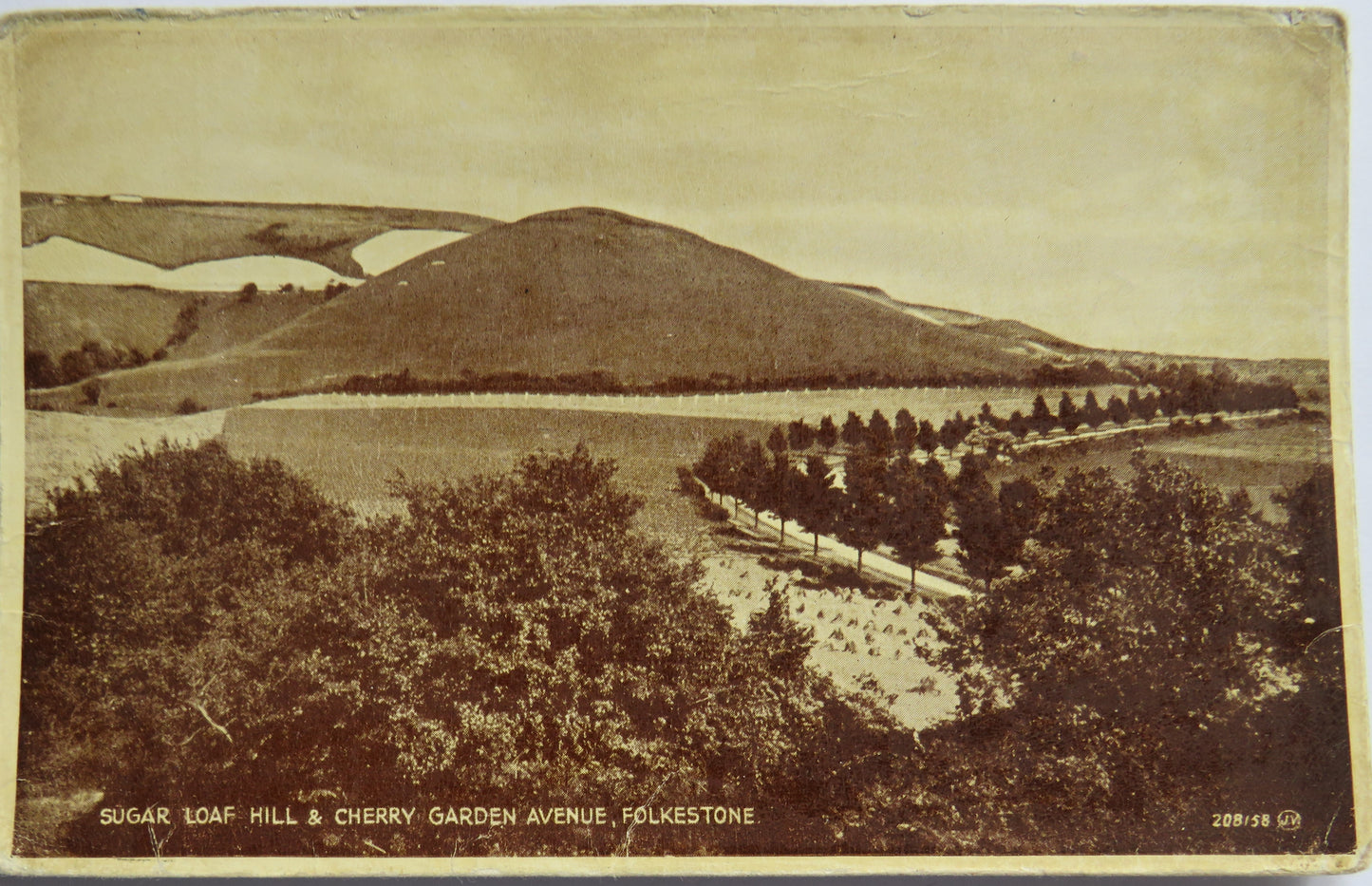 Vintage Postcard of Sugar Loaf Hill & Cherry Garden Avenue, Folkestone
