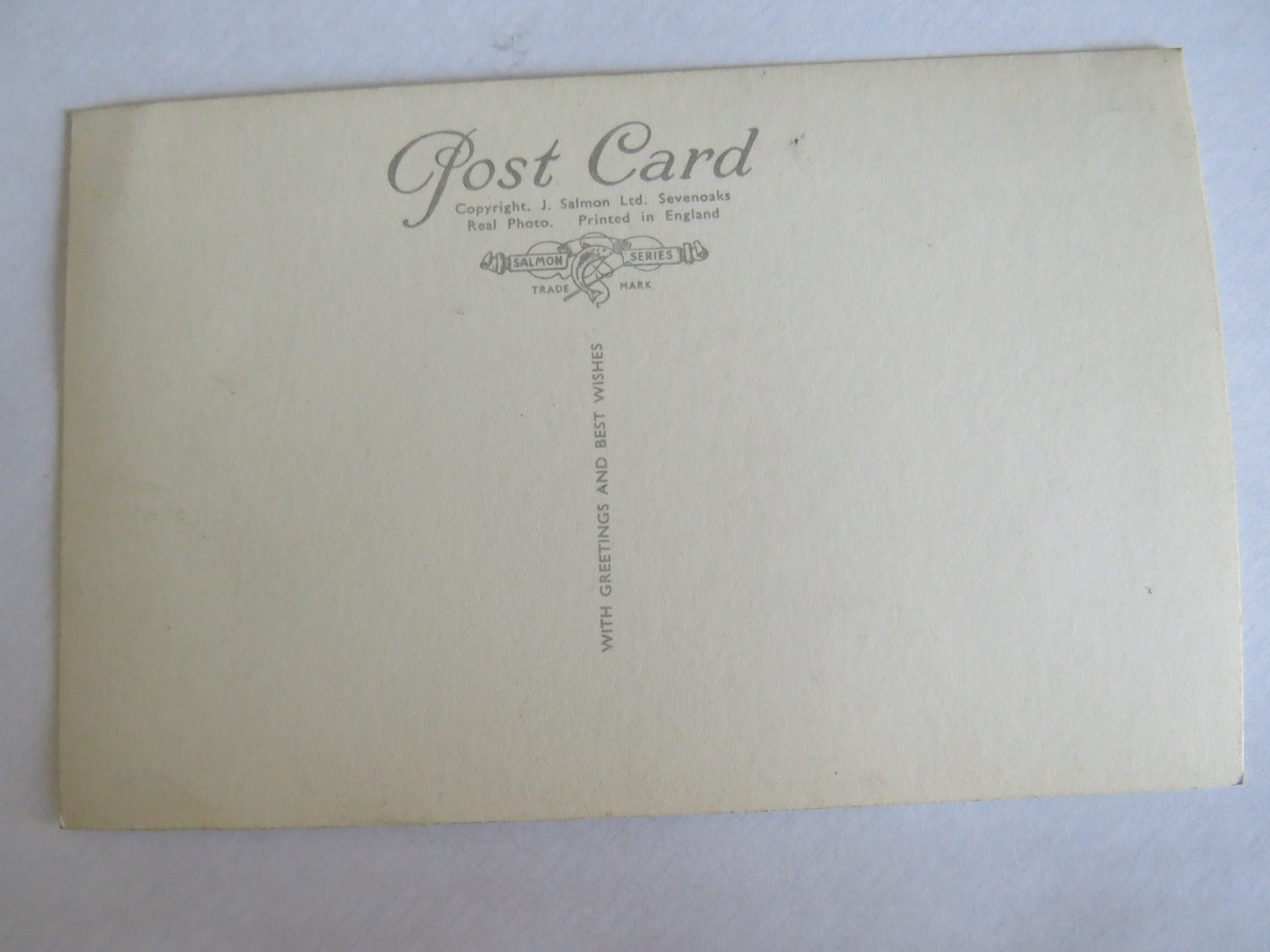 Vintage Postcard of The Grand Vista, Festival Pleasure Gardens, London