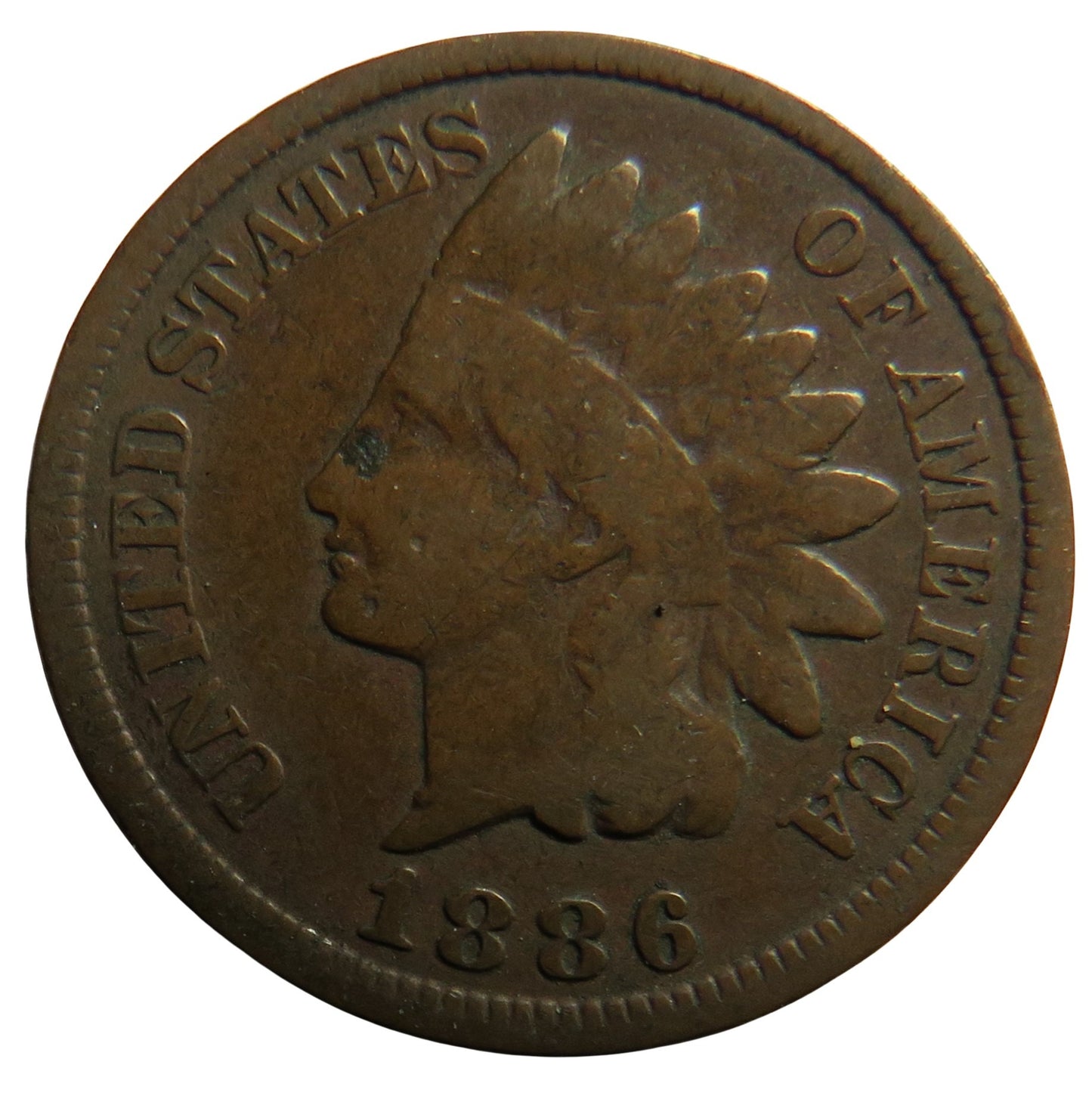 1886 USA Indian Head One Cent Coin