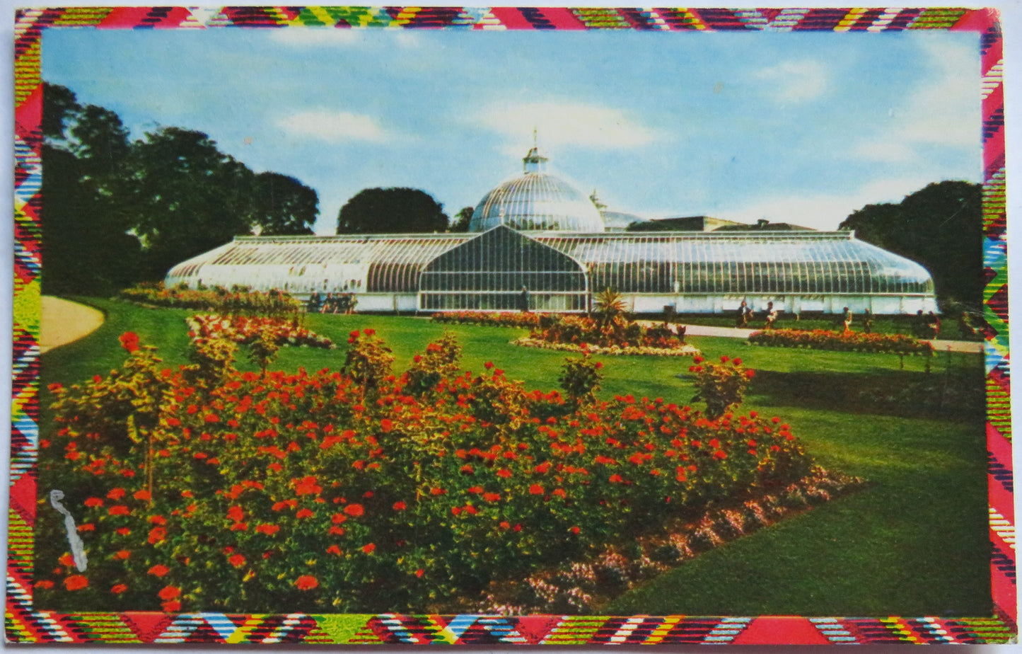 Vintage Postcard of The Botanic Gardens, Glasgow, 1971