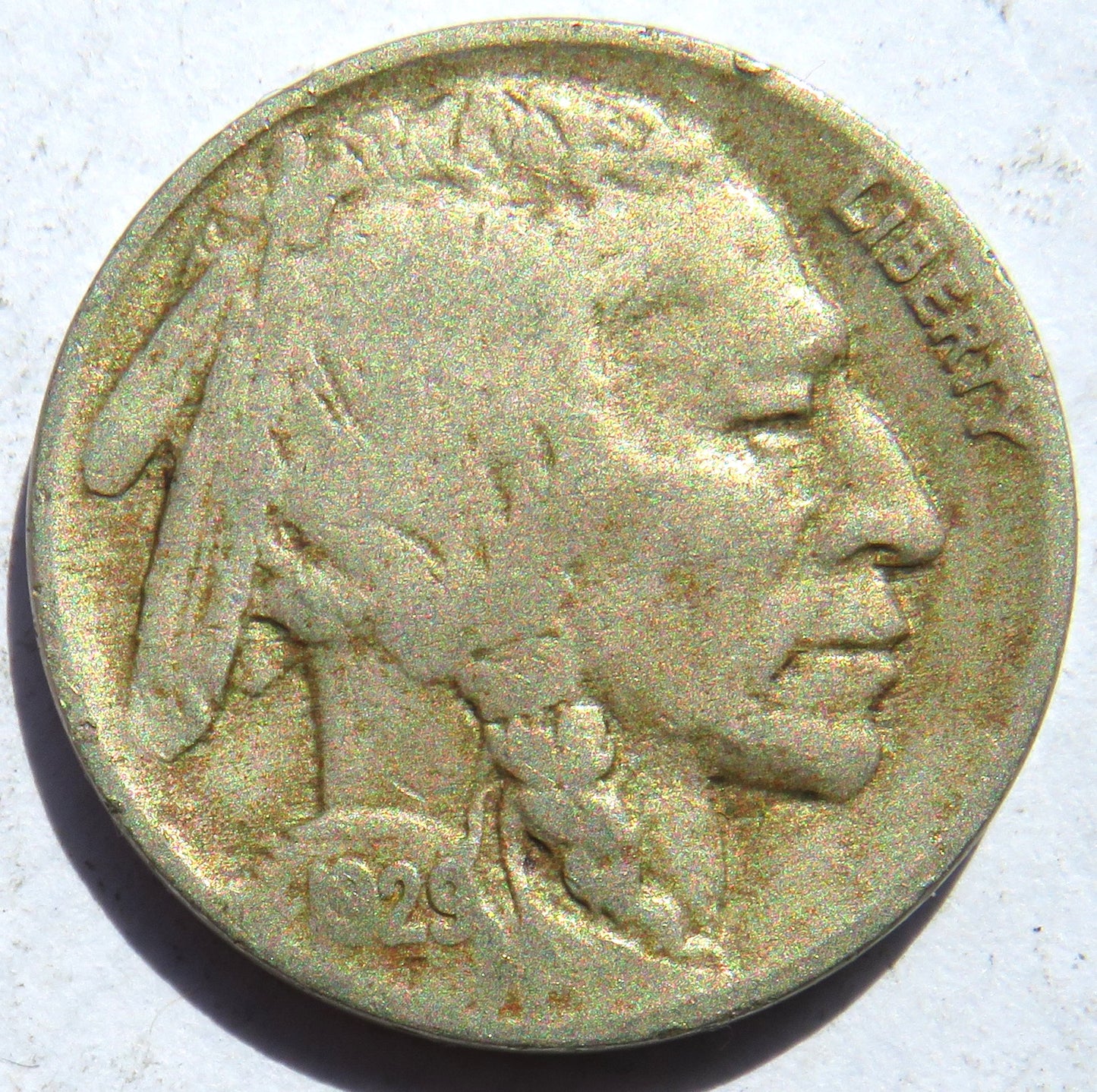 1929 USA Buffalo Nickel Coin