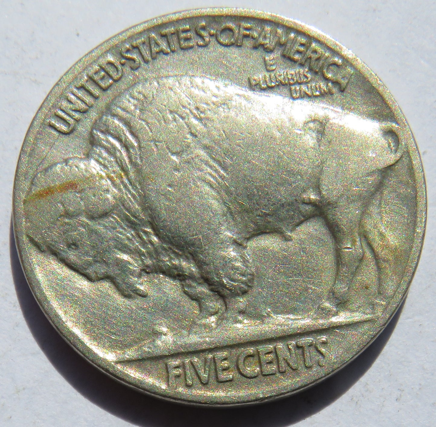 1936 USA Buffalo Nickel Coin