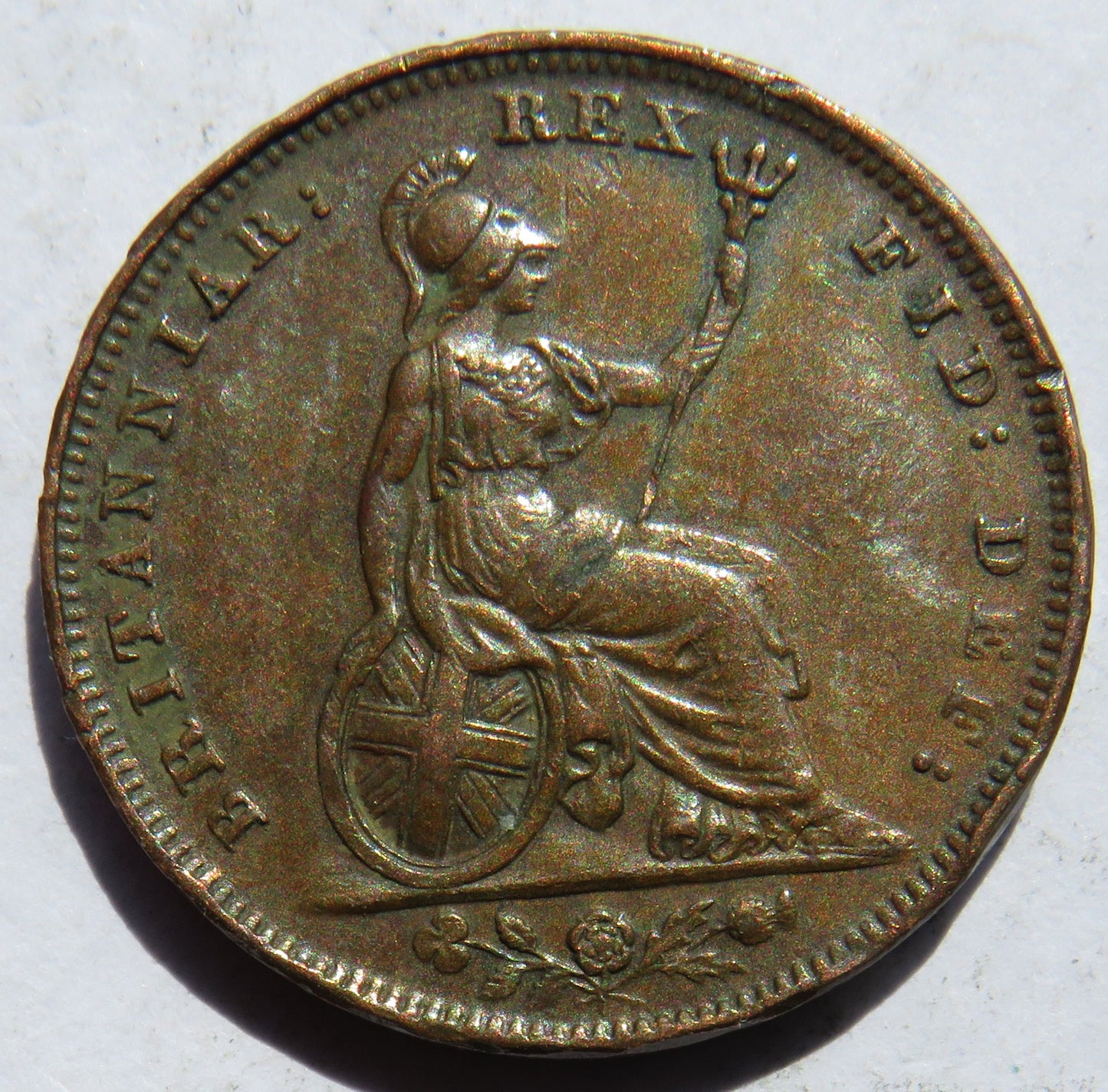 1831 King William IV Farthing Coin - Great Britain