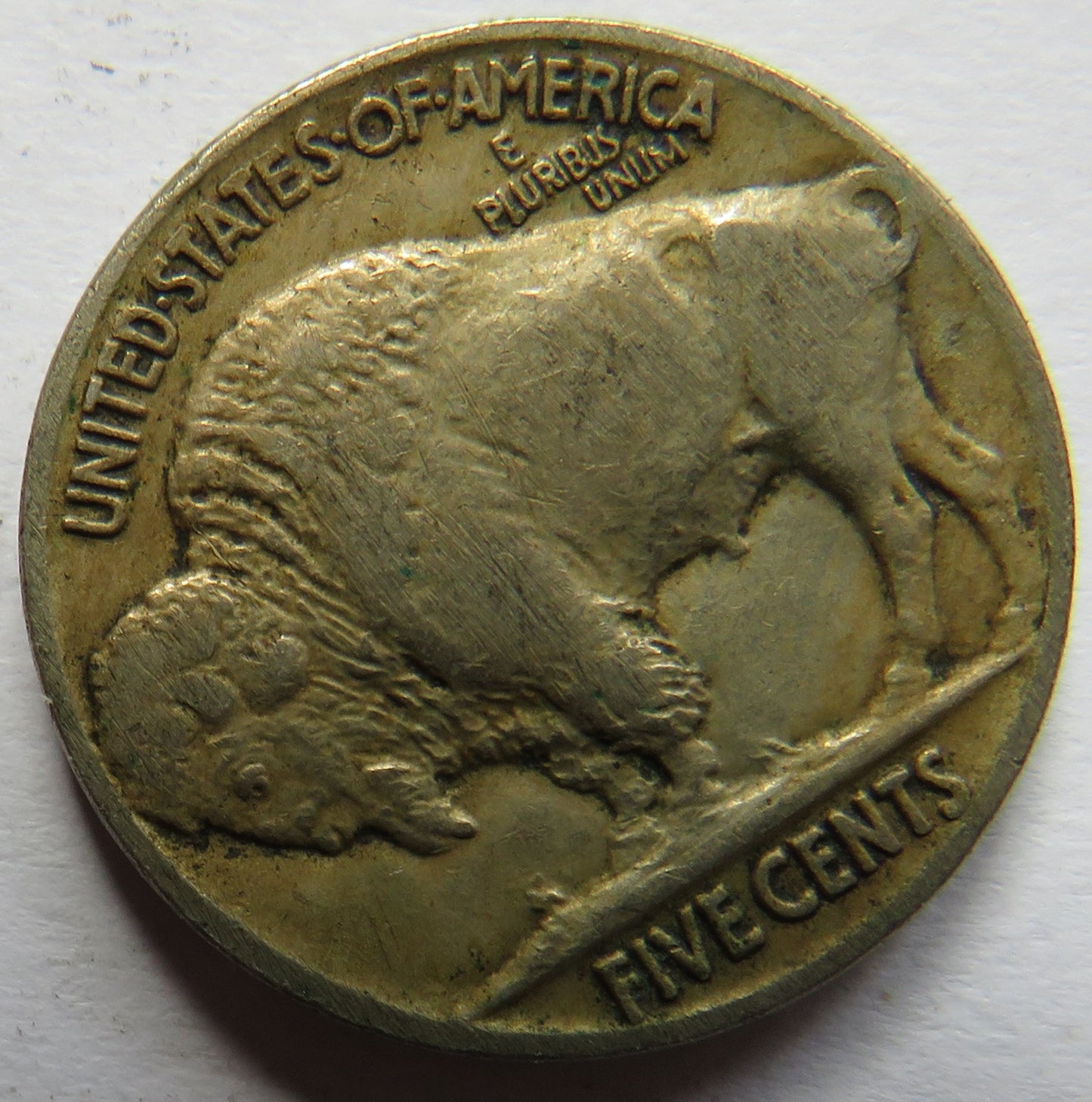 1920 USA Buffalo Five Cents / Nickel Coin