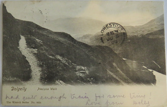 Old Postcard Of Dolgelly Precipice Walk 1909