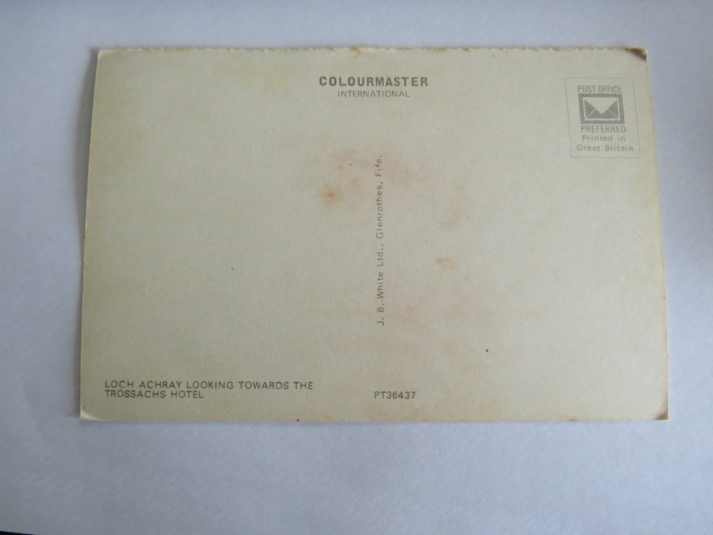 Vintage Postcard of Loch Achray - Highland Cow