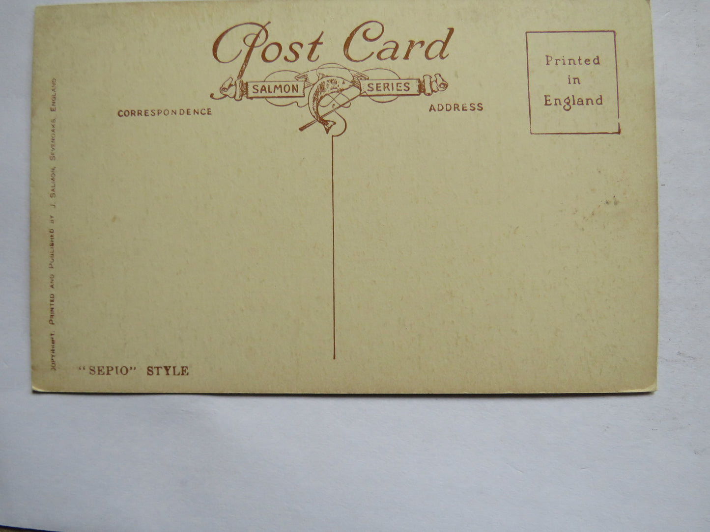 Vintage Postcard of Warwick Castle from the Island