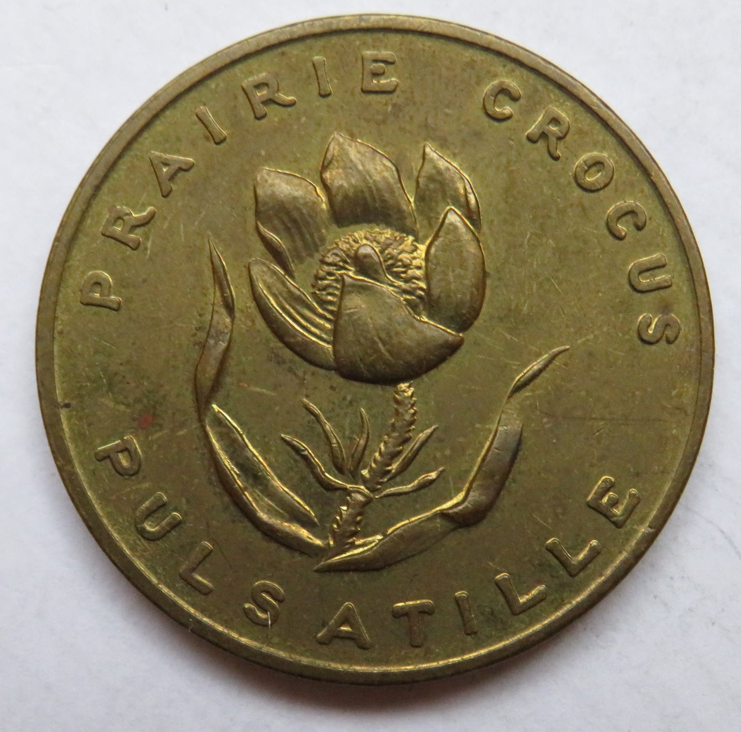 Vintage 1960's Canada Token Manitoba 1870 / Prairie Crocus Pulsatille
