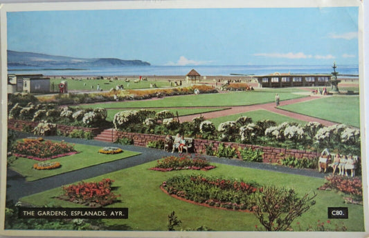 Old Postcard of The Gardens, Esplanade, Ayr 1960 - Ref : 1029