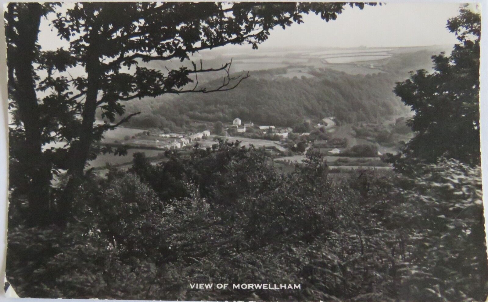 Old Postcard of View of Morwellham - Ref : 1030
