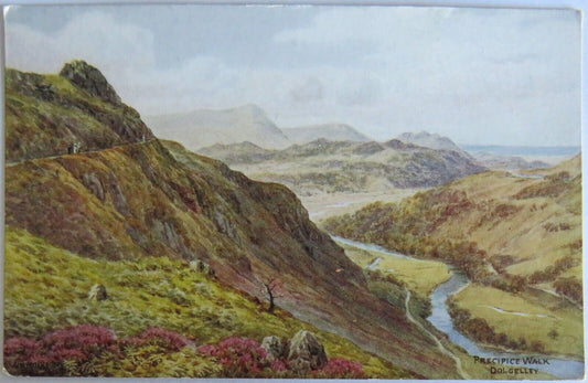 Old Postcard of Precipice Walk Dolgelley  - Ref : 1026