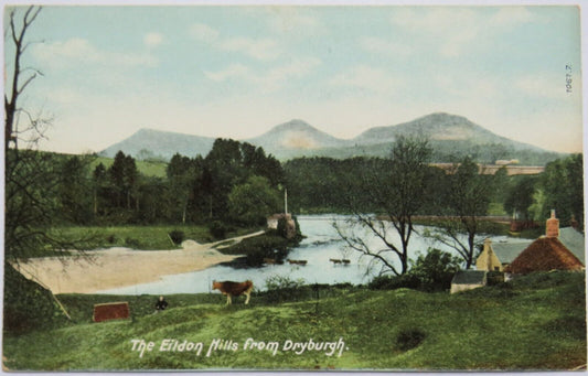 Old Postcard of The Eildon Hills from Dryburgh