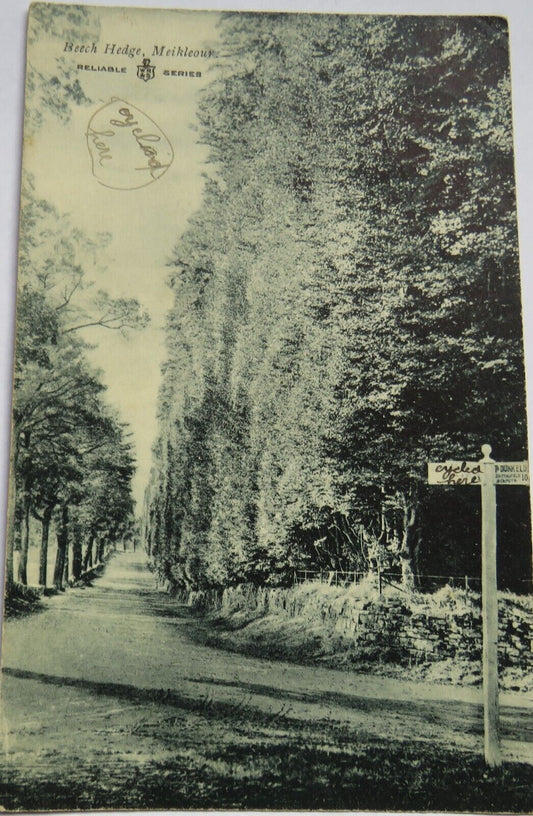 Old Postcard of Beech Hedge Meikleour 1906