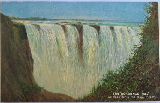 Old Postcard Of The Horseshoe Falls as Seen From The Rain Forest  - Ref : 1026