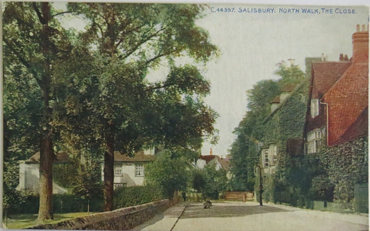 Old Postcard of Salisbury North Walk The Close - Ref : 1042