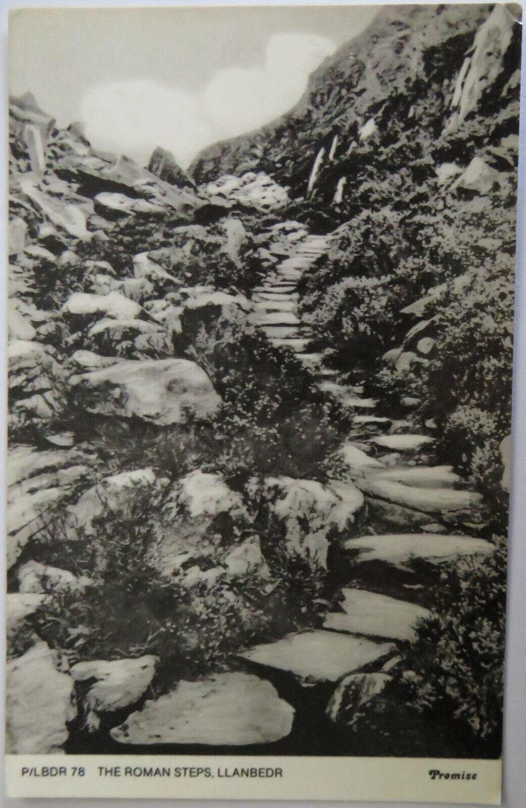 Old Postcard of The Roman Steps, Llanbedr - Ref : 1030