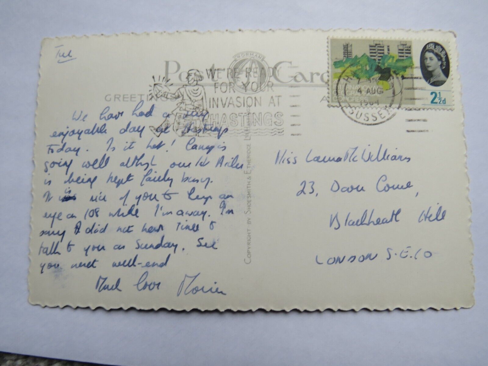 Old Multiview Postcard of Sussex Castles, 1964