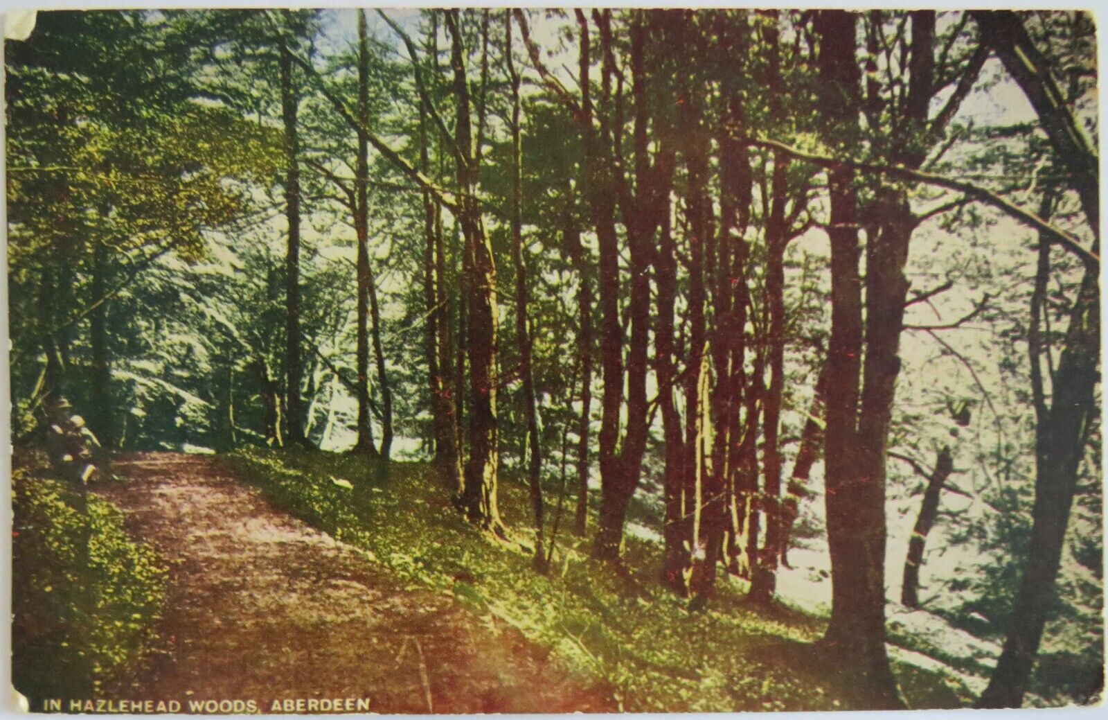 Old Postcard In Hazlehead Woods, Aberdeen - Ref : 1022