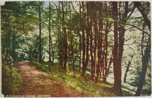 Old Postcard In Hazlehead Woods, Aberdeen - Ref : 1022