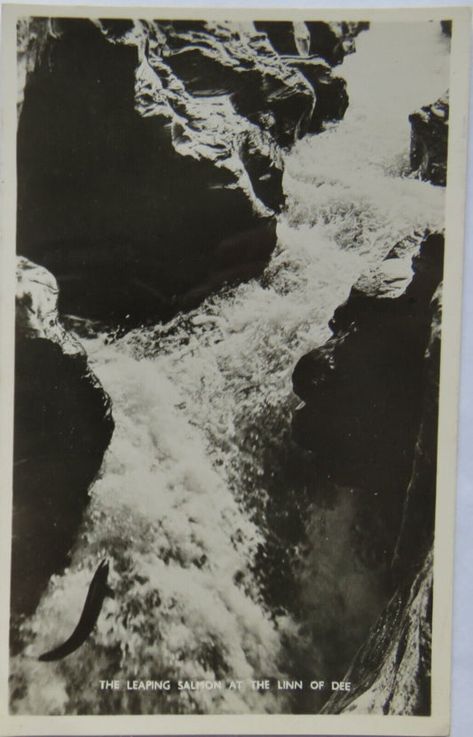 Old Postcard of The Leaping Salmon at the Linn of Dee