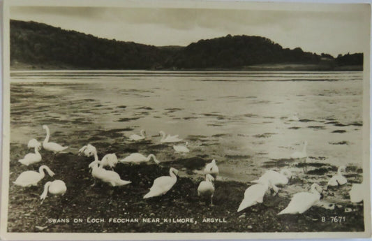 Old Antique Postcard of Swans on Loch Feochan Near Kilmore, Argyll - Ref : 1038