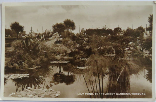Old Postcard of Lily Pond, Torre Abbey Gardens, Torquay 1955 - Ref : 1030