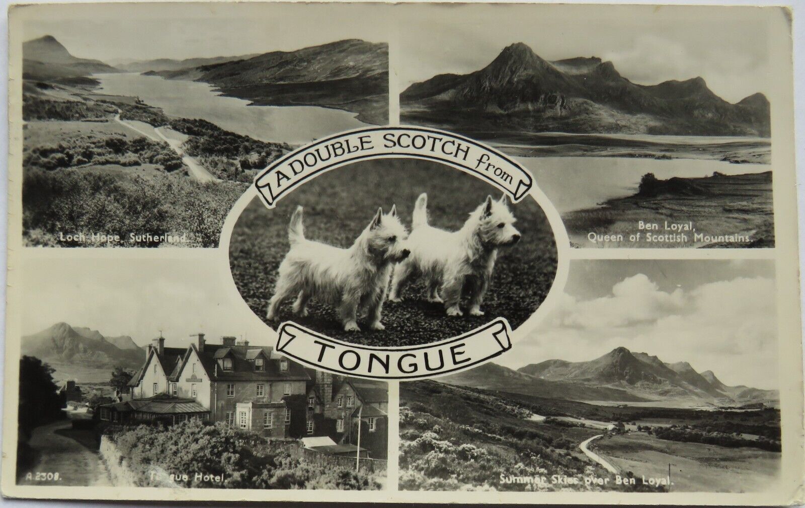 Old Multiview Postcard of a Double Scotch From Tongue 1964