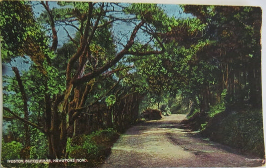 Old Postcard of Weston Super Mare, Kewstoke Road - Ref : 1037