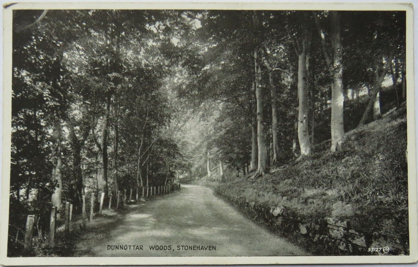 Old Postcard of Dunnottar Woods, Stonehaven, 1942