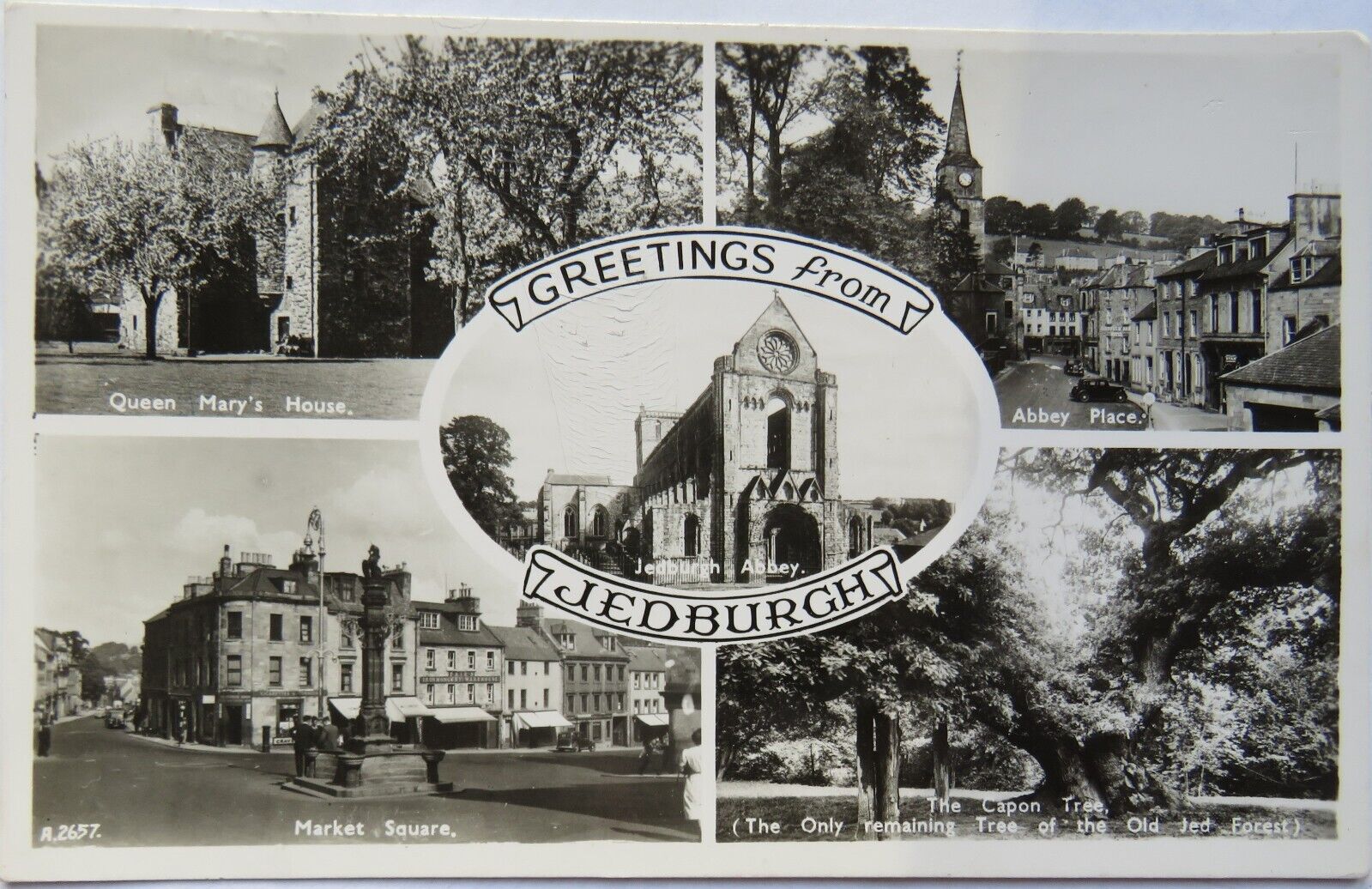 Old Multiview Postcard of Greetings from Jedburgh, 1958