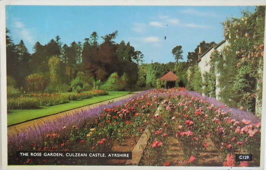 Old Postcard of The Rose Garden, Culzean Castle, Ayrshire 1956 - Ref : 1024