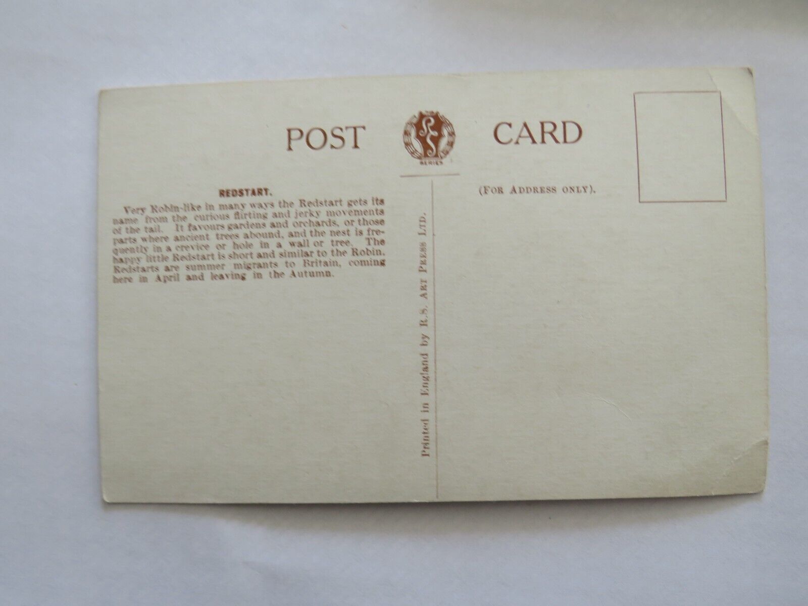 Old Postcard Of A Redstart Bird - R.S. Art Press Ltd - Ref : 1008