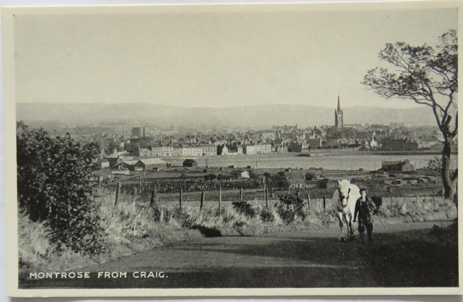 Old Postcard of Montrose From Craig - Ref : 1009