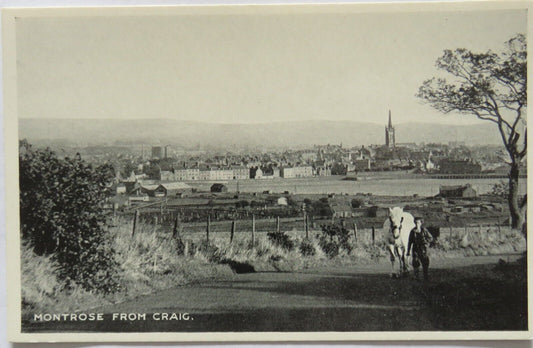 Old Postcard of Montrose From Craig - Ref : 1009