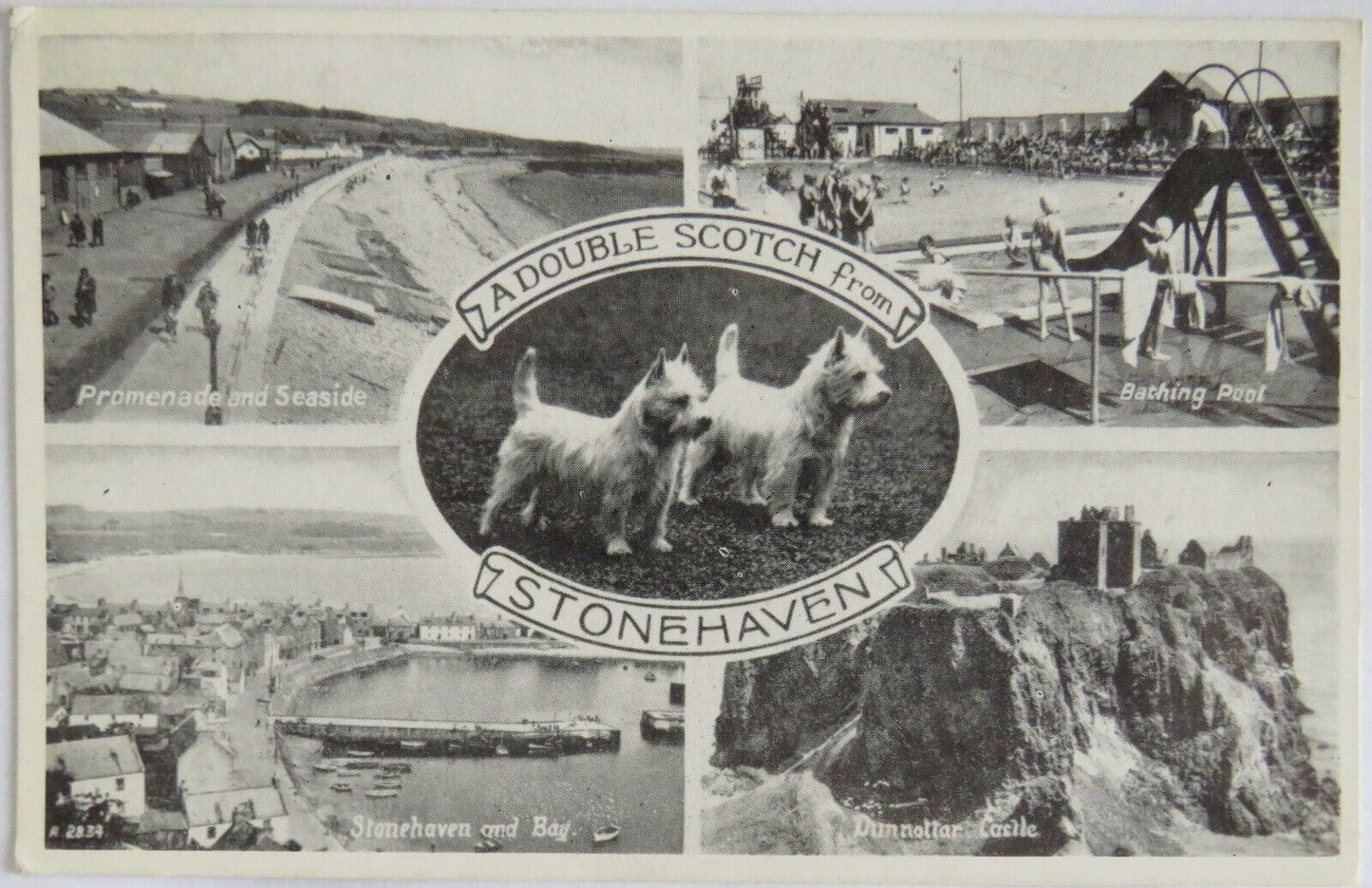 Old Postcard of A Double Scotch From Stonehaven -  Ref : 1022