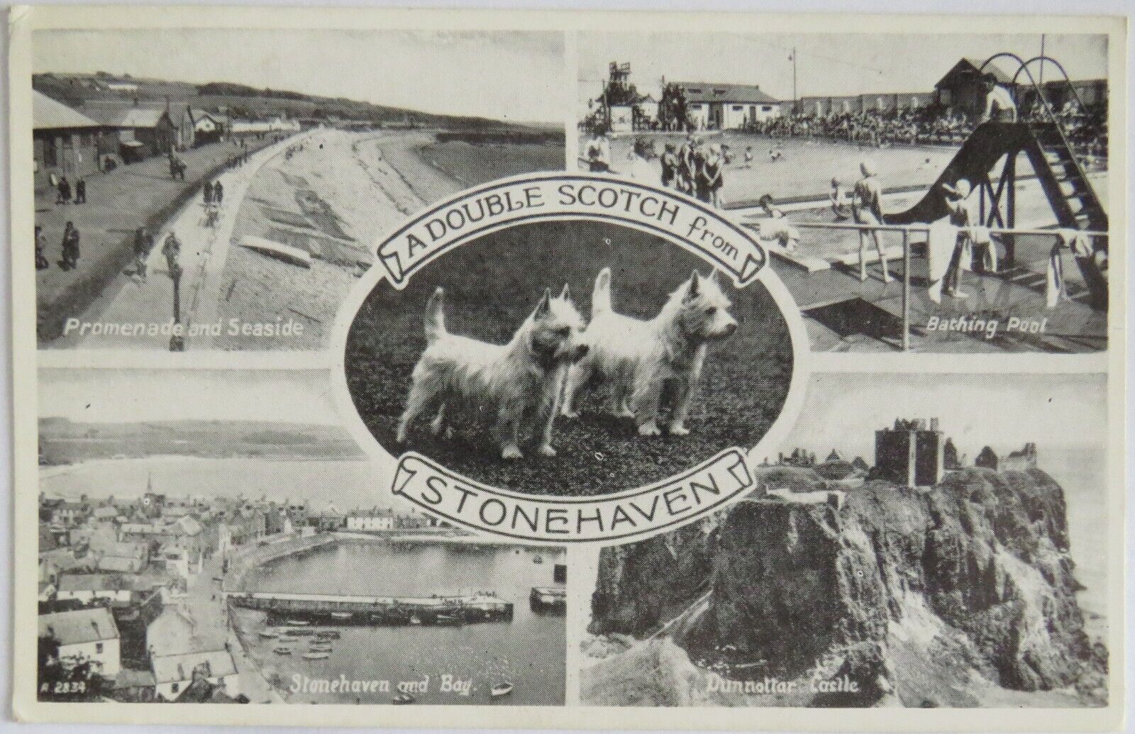 Old Postcard of A Double Scotch From Stonehaven -  Ref : 1022