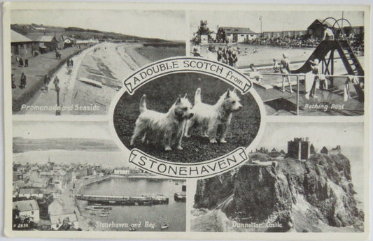 Old Postcard of A Double Scotch From Stonehaven -  Ref : 1022