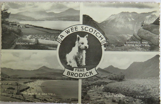 Old Postcard of A Wee Scotch Frae Brodick - Ref : 1029
