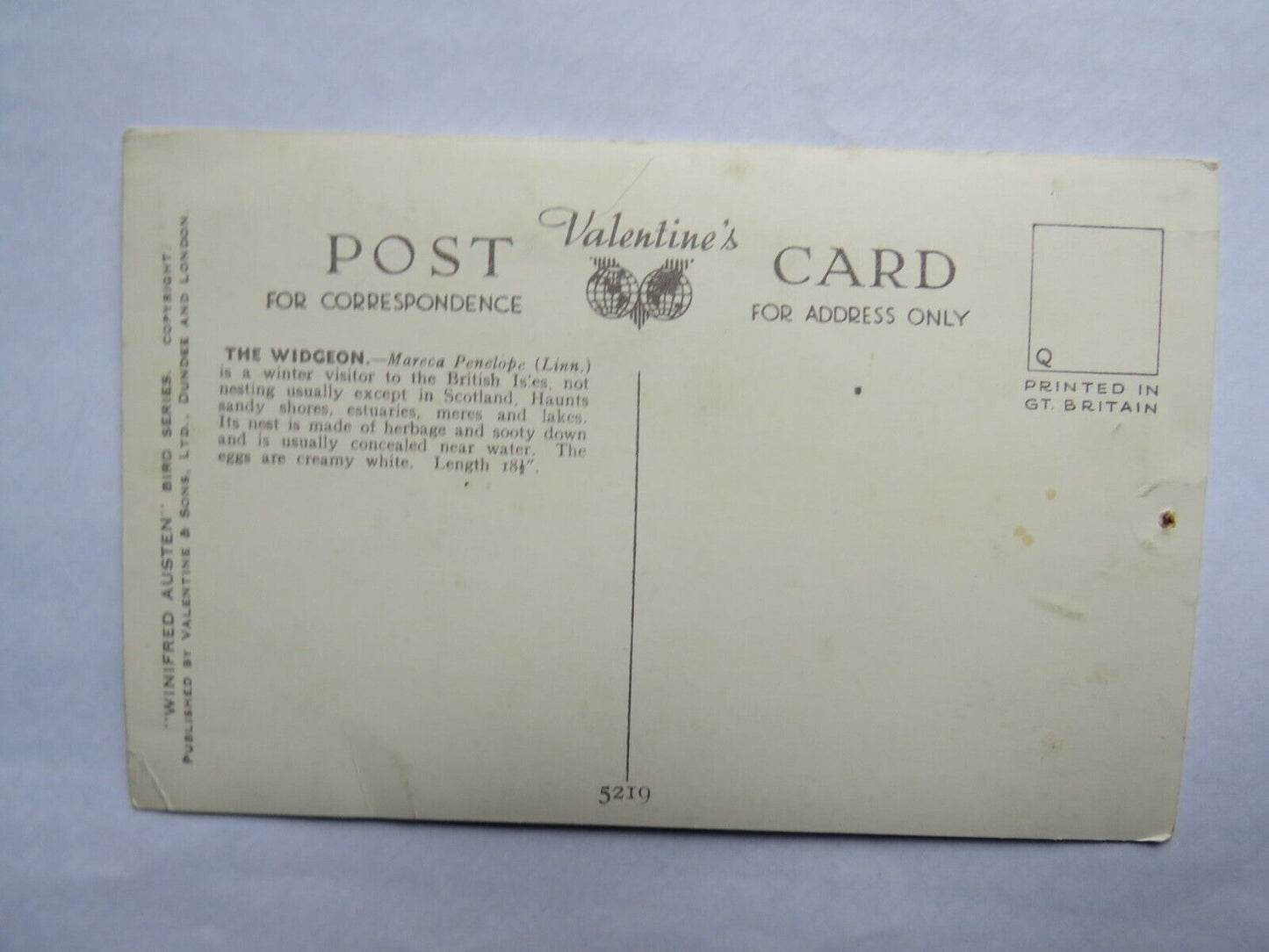 Old Postcard of The Widgeon By Alfred Austen