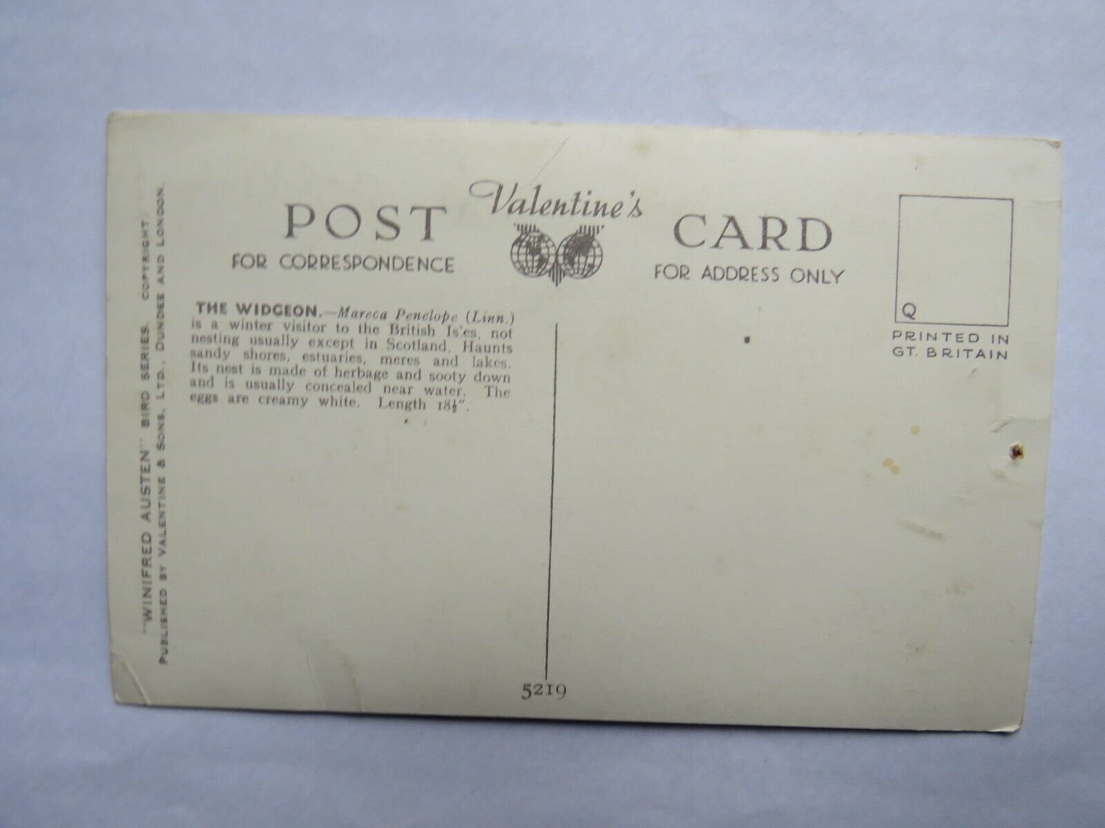 Old Postcard of The Widgeon By Alfred Austen