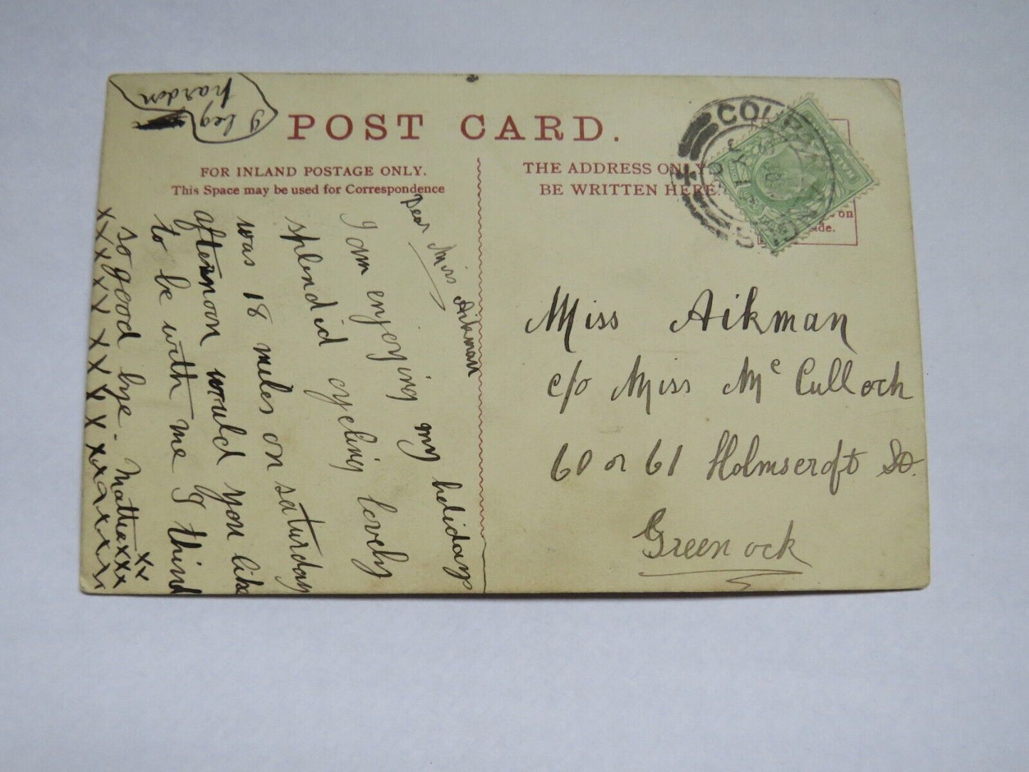 Old Postcard of Beech Hedge Meikleour 1906