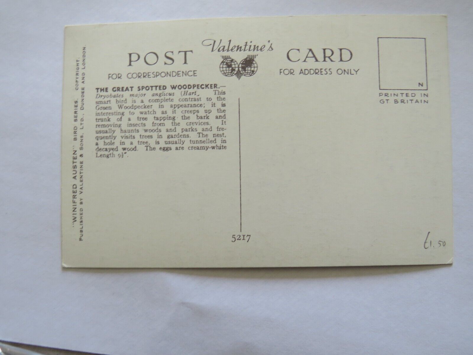 Old Postcard of The Great Spotted Woodpecker - Ref : 1008