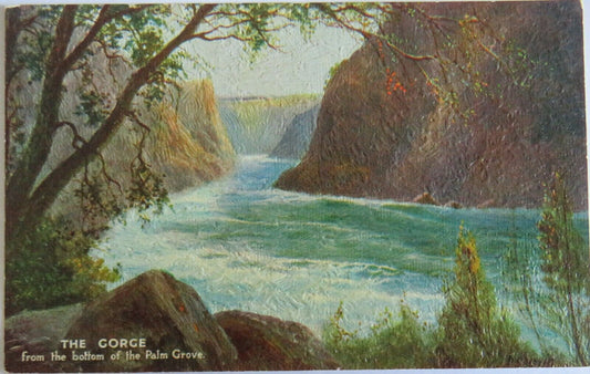 Old Postcard of The Gorge From The Bottom Of The Palm Grove - Ref : 1025